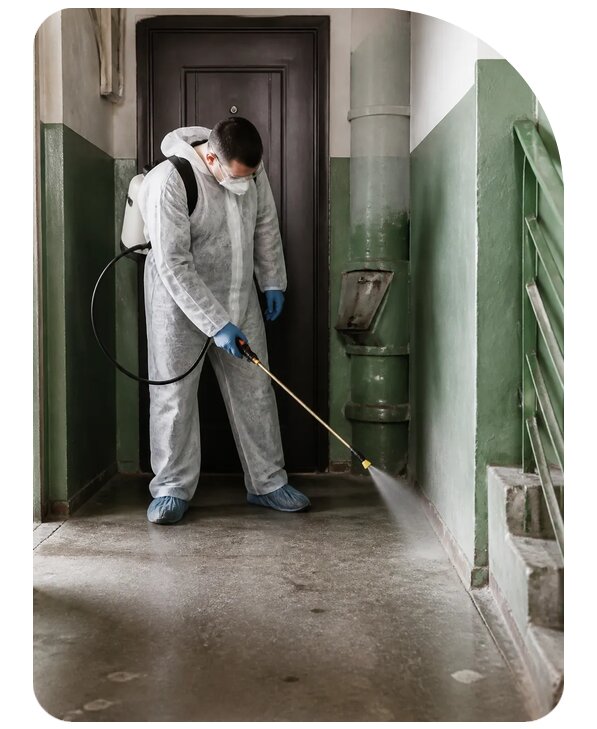 Обработка подъезда от тараканов в Нальчике — от 5182 р. | Сенат-Нль